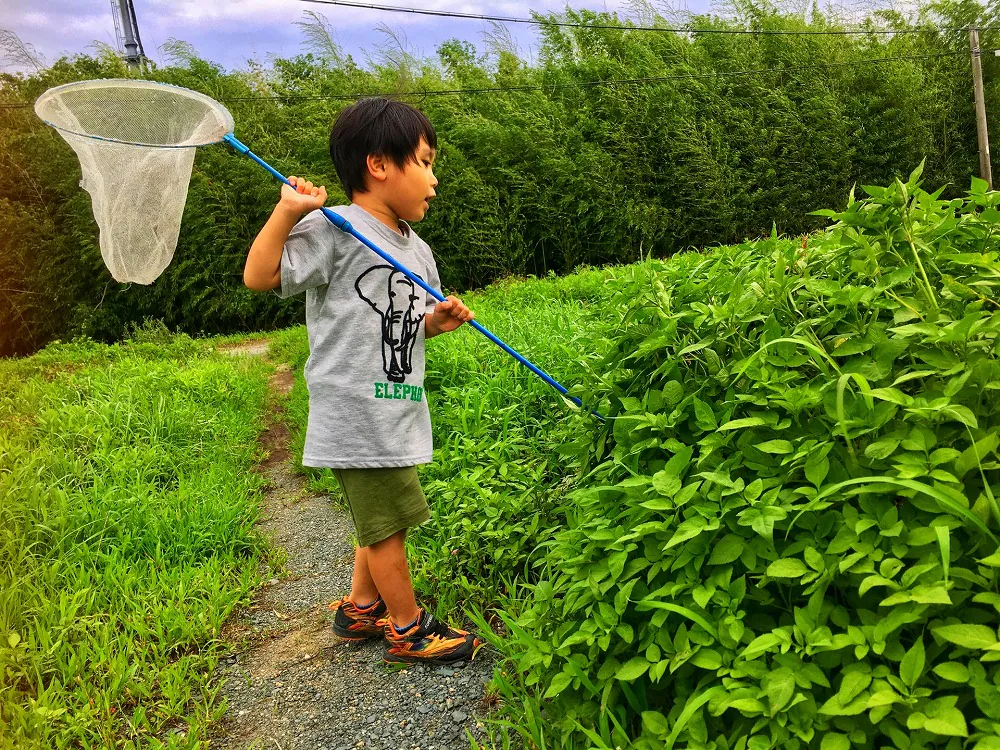 虫刺され 原因と症状